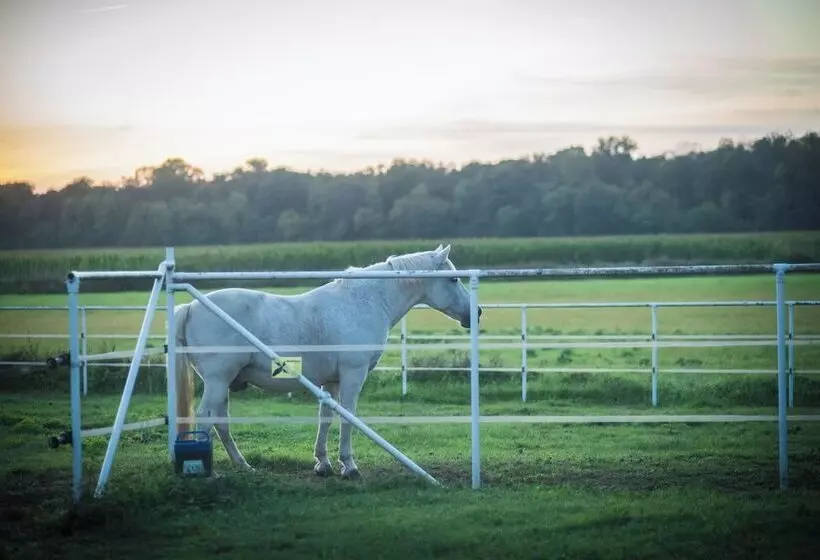 Agriturismo Beatilla