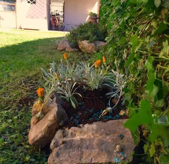 تختخواب و صبحانه Harmony House Prestige