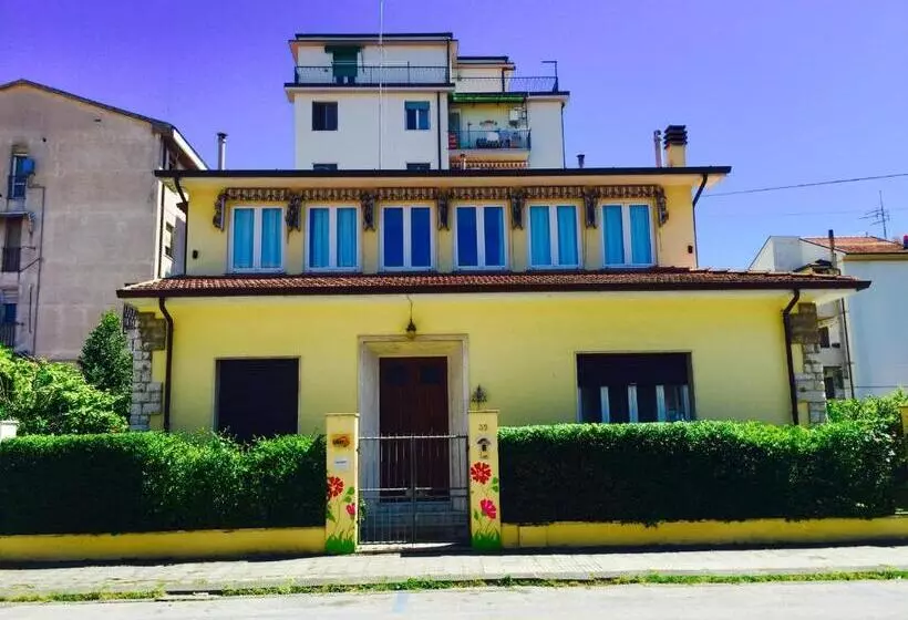 تختخواب و صبحانه Harmony House Prestige