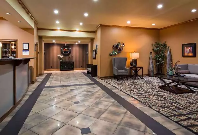 酒店 Best Western Plus Christopher Inn And Suites