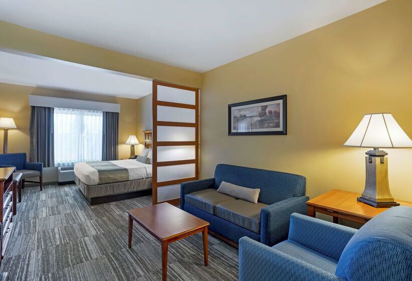هتل Best Western Plus University Park Inn & Suites