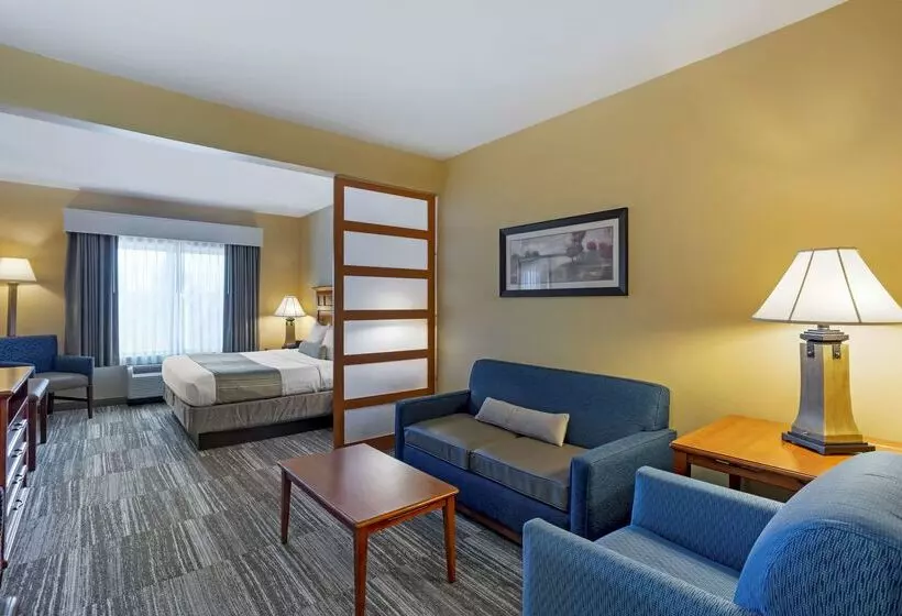 호텔 Best Western Plus University Park Inn & Suites