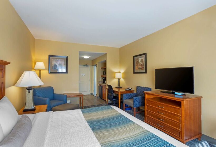 هتل Best Western Plus University Park Inn & Suites
