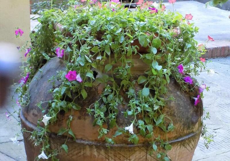 هتل Il Pitti  Soggiorno