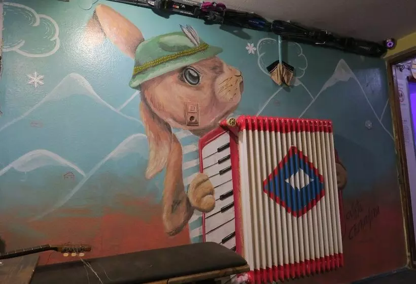 Hotell Snowbunnys Backpackers Hostel