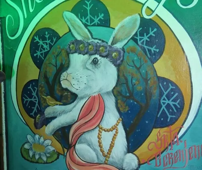 Hotell Snowbunnys Backpackers Hostel