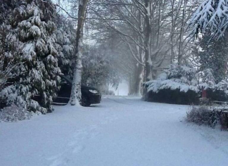 Aamiaismajoitus (B&B) Wood Rising