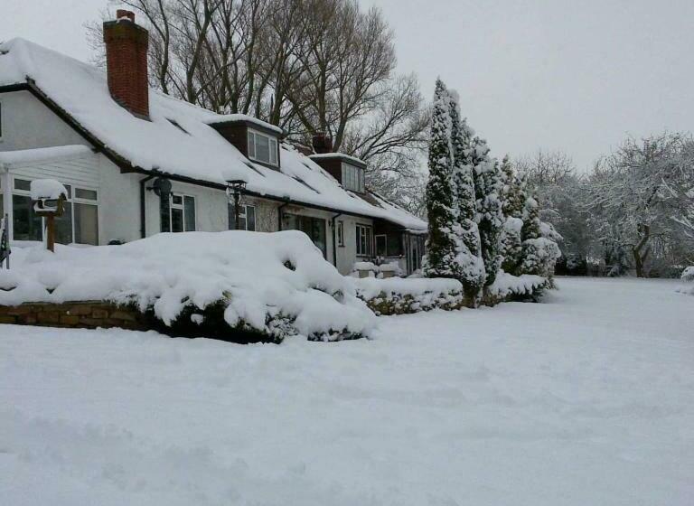 Aamiaismajoitus (B&B) Wood Rising