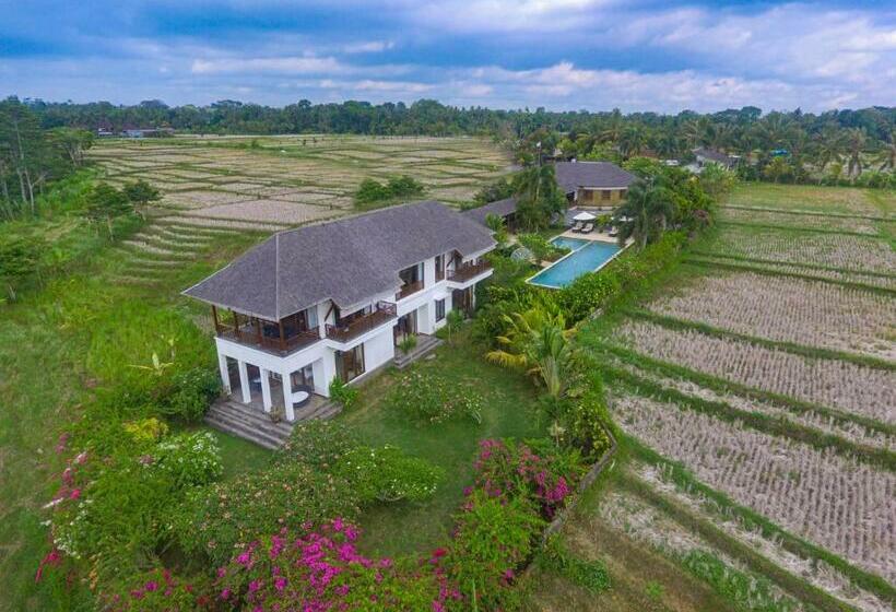 膳宿费 Ganesha Villa Tabanan