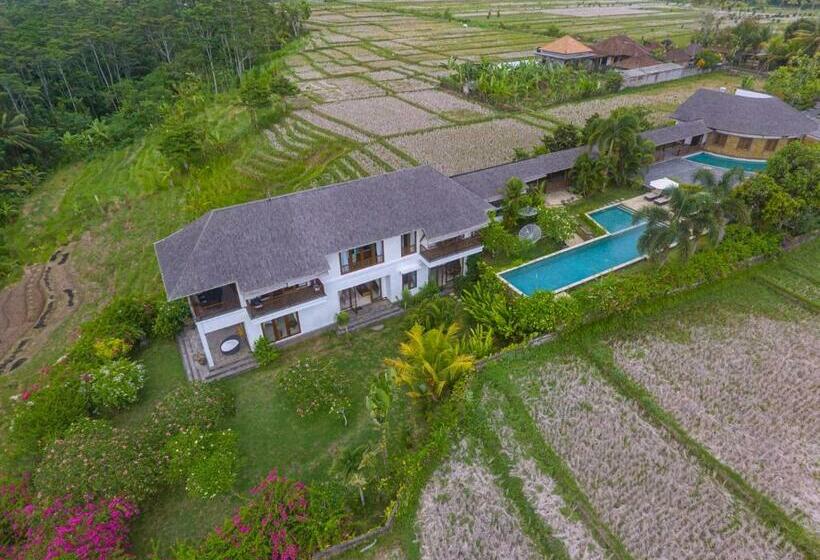 膳宿费 Ganesha Villa Tabanan