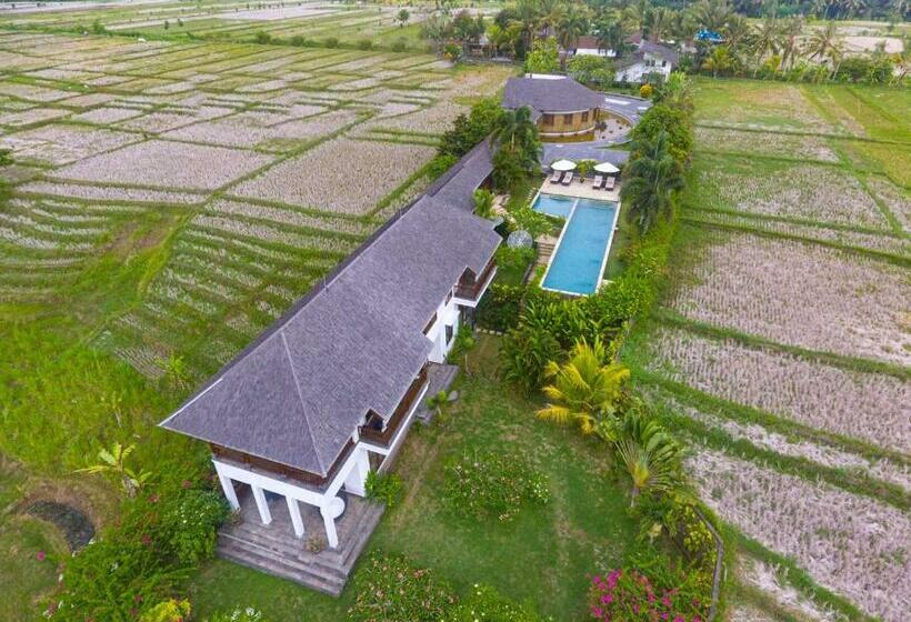 膳宿费 Ganesha Villa Tabanan