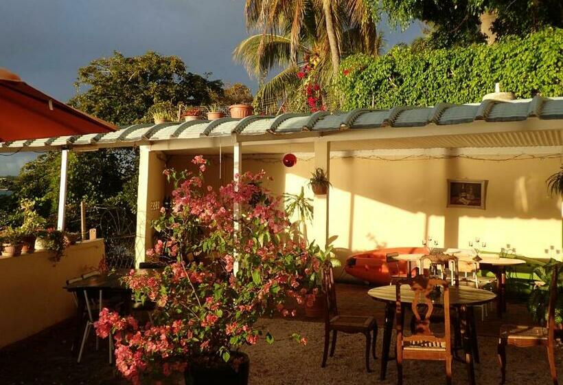 پانسیون Le Cactus Guesthouse