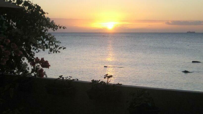 پانسیون Le Cactus Guesthouse