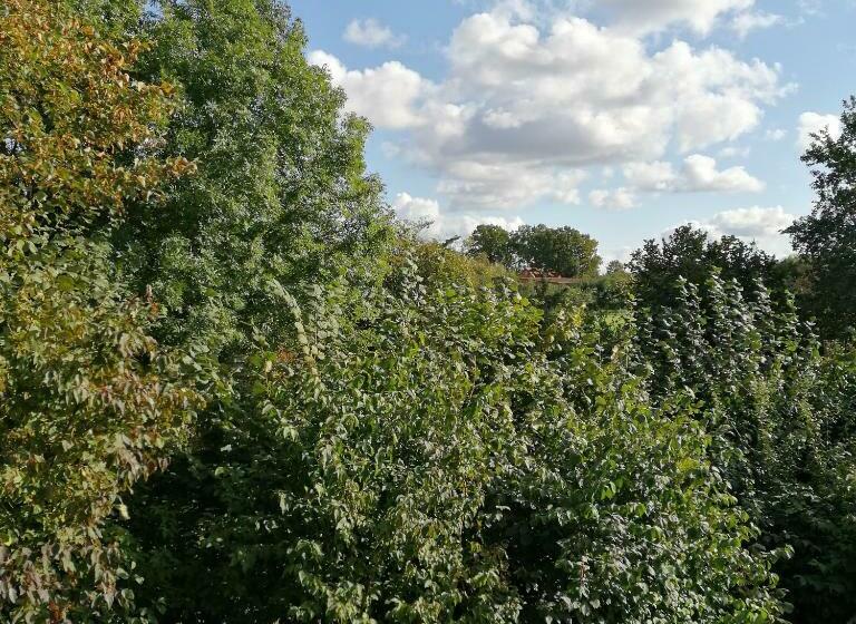 Пансион Auerandzimmer