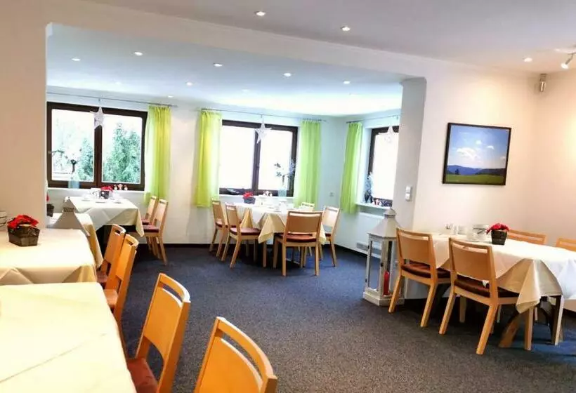 ペンション Auszeit Bed & Breakfast Todtnauberg