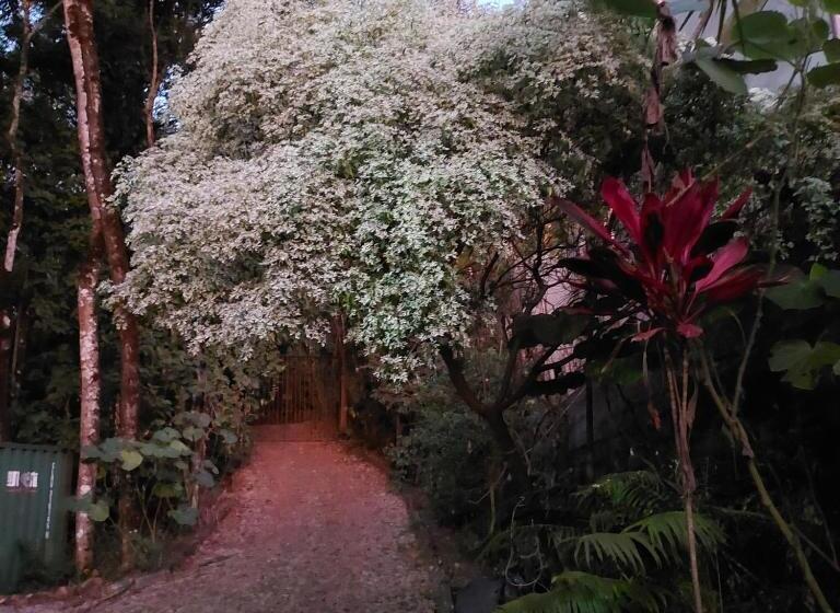 膳宿费 Econtainer Suítes Macacos