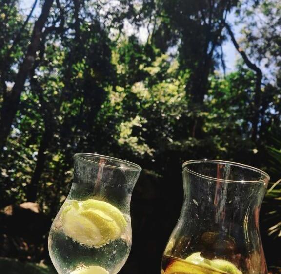 膳宿费 Econtainer Suítes Macacos