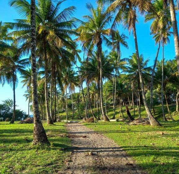 Pensionat Pousada Beija Flor   Ilha Boipeba