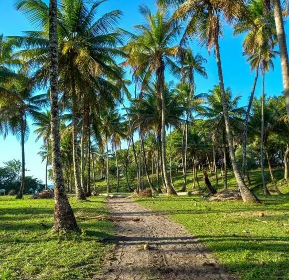 ペンション Pousada Beija Flor Ilha Boipeba