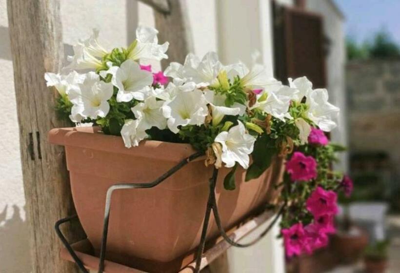 بنسيون Casina Filù Suite Degli Ospiti