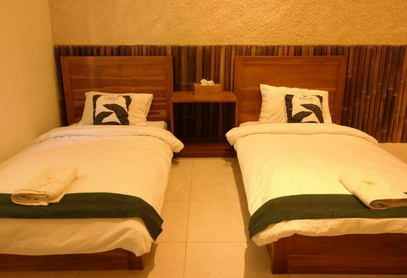 渡假胜地  Cabana Surf And Stay