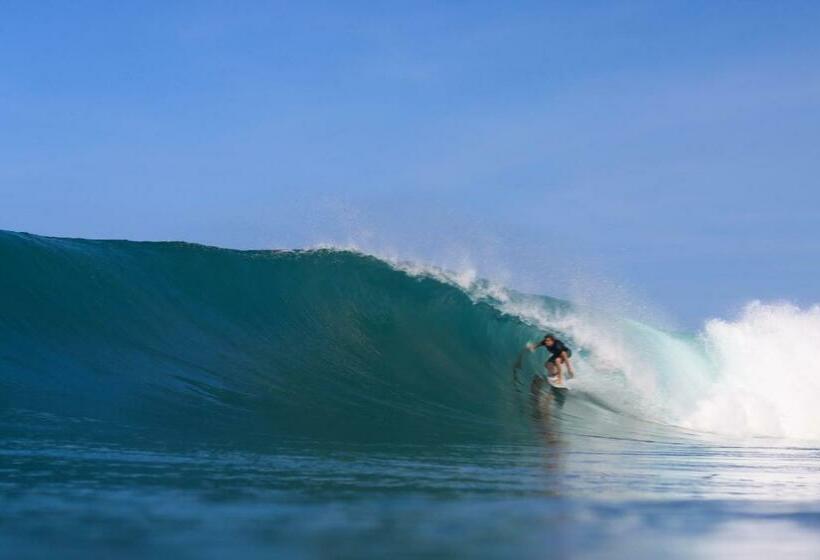 渡假胜地  Cabana Surf And Stay