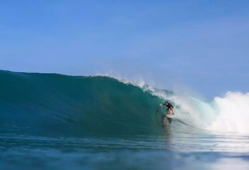 リゾートホテル Cabana Surf And Stay