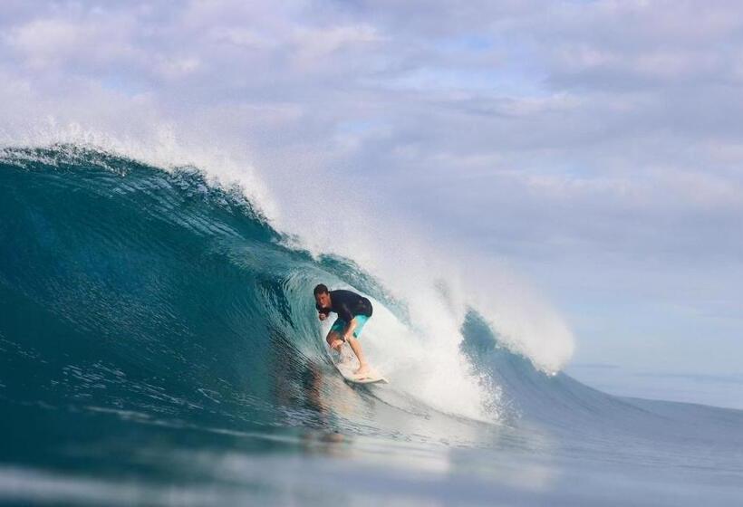 渡假胜地  Cabana Surf And Stay