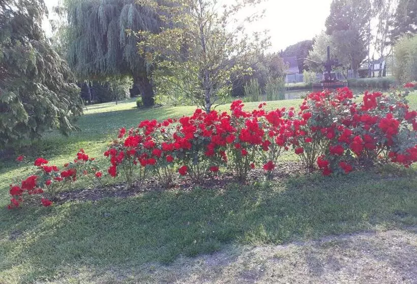 Aamiaismajoitus (B&B) Les Roseaux A La Campagne Au Centre Des Chateaux De La Loire