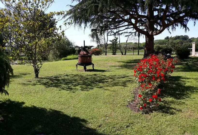 Aamiaismajoitus (B&B) Les Roseaux A La Campagne Au Centre Des Chateaux De La Loire