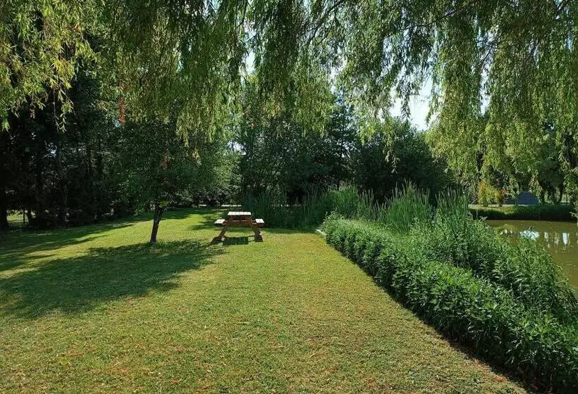 Aamiaismajoitus (B&B) Les Roseaux A La Campagne Au Centre Des Chateaux De La Loire
