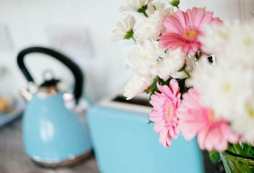 Bed and Breakfast Mount View Overnight Accommodation