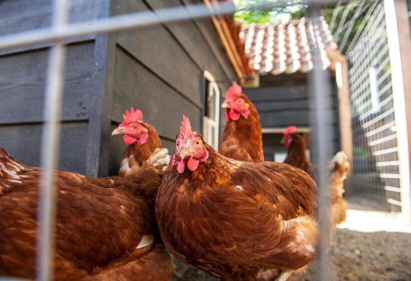 Hush Bed & Breakfast