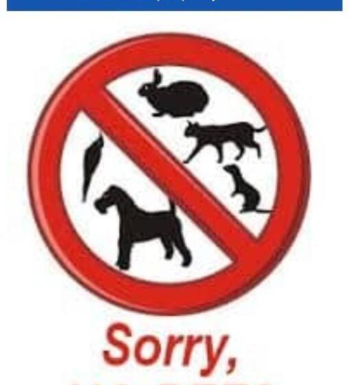 צימר Cristina Beachfront Cottages