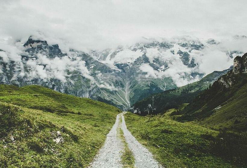 Olle And Maria S B&b