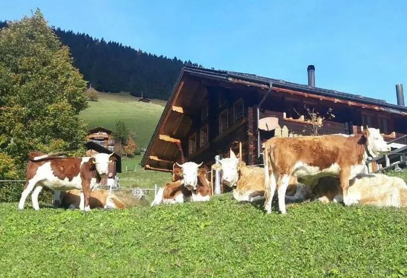 Olle And Maria S B&b