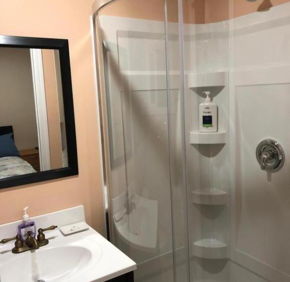 פנסיון Shady Willow Guest House   For Tourists & Travellers Only, No Locals, Private Small Compact Rooms Wi