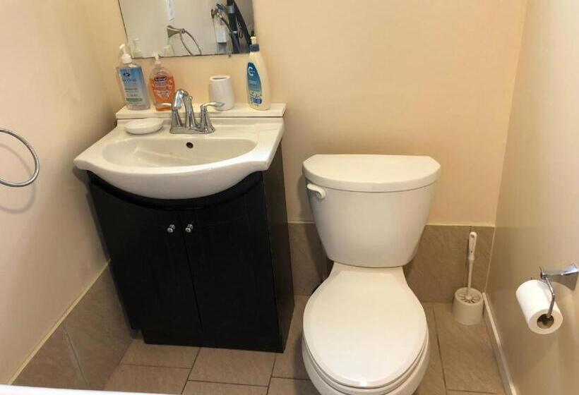 פנסיון Shady Willow Guest House   For Tourists & Travellers Only, No Locals, Private Small Compact Rooms Wi