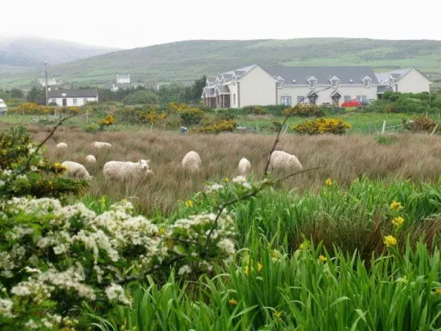 The Skellig Lodge & Hostel