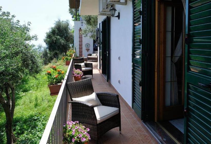 צימר H.h.le Palme