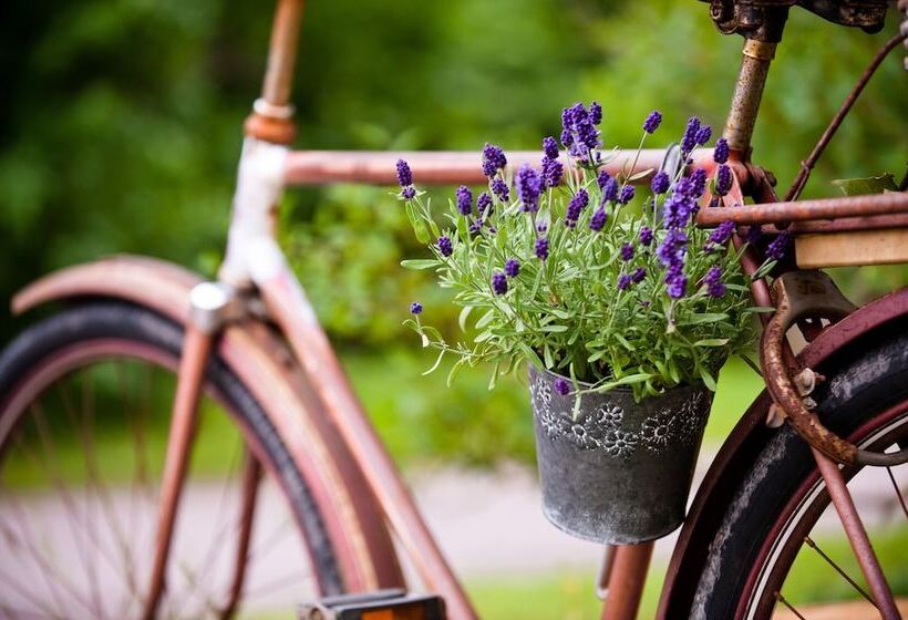 호텔 Hameenkylan Kartano