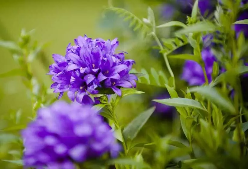 Hotel Hameenkylan Kartano