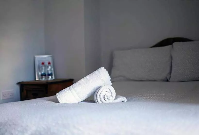 호텔 The Woodquay Hostel