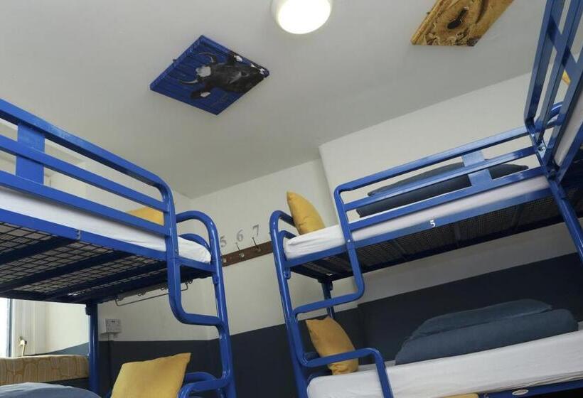 酒店 The Woodquay Hostel