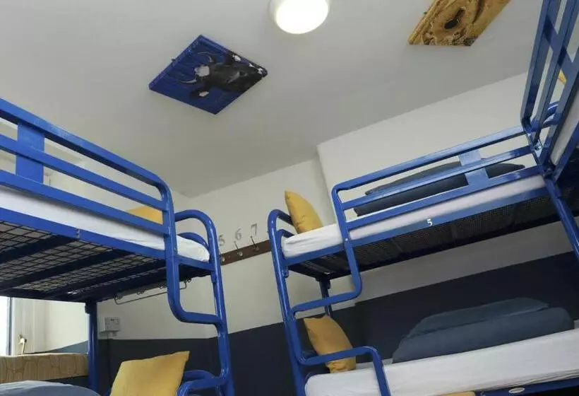 호텔 The Woodquay Hostel