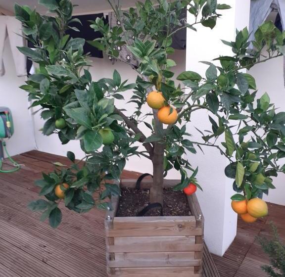 צימר Chez Jeanfi