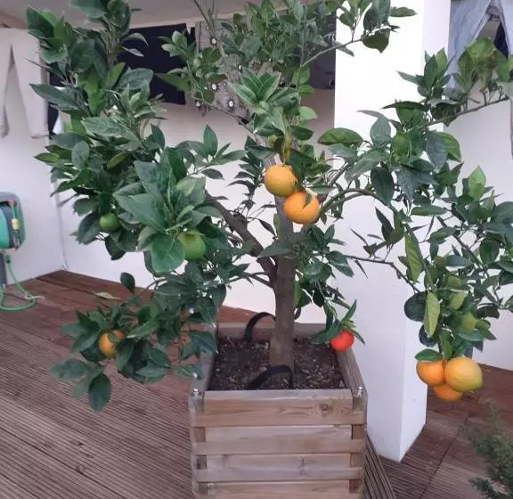 Aamiaismajoitus (B&B) Chez Jeanfi