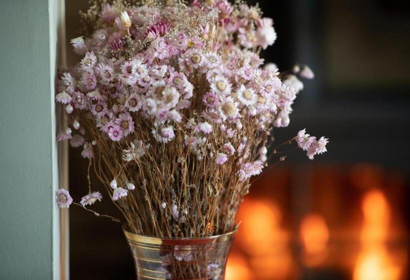 Bed and Breakfast Pat à Touille