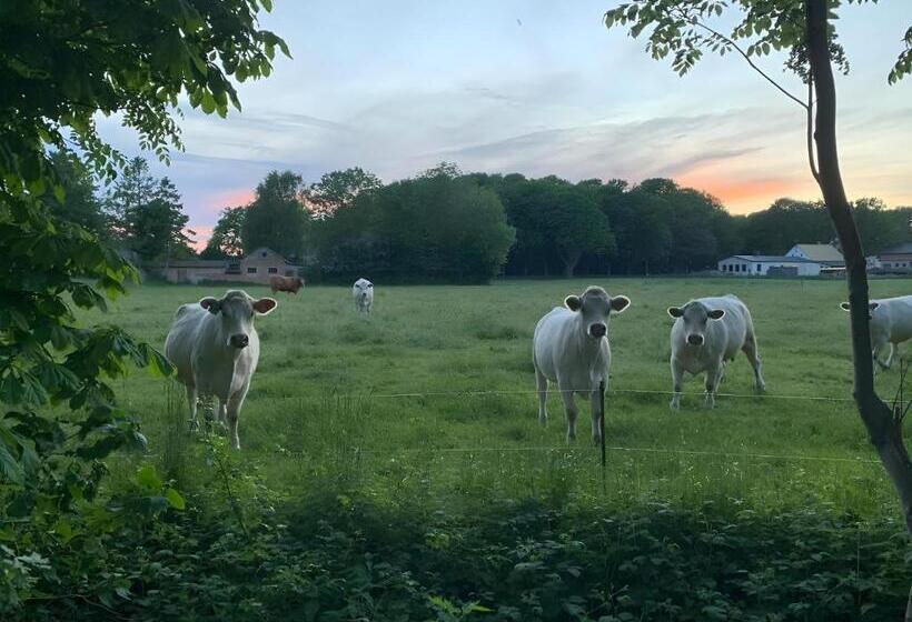 ホテル Rügenschmiede Vis A Vis Hiddensee