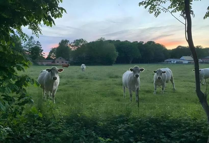 Hotelli Rügenschmiede Vis A Vis Hiddensee